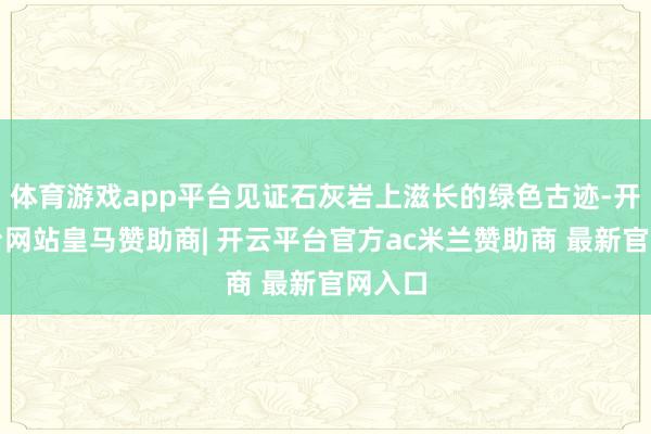 体育游戏app平台见证石灰岩上滋长的绿色古迹-开云平台网站皇马赞助商| 开云平台官方ac米兰赞助商 最新官网入口