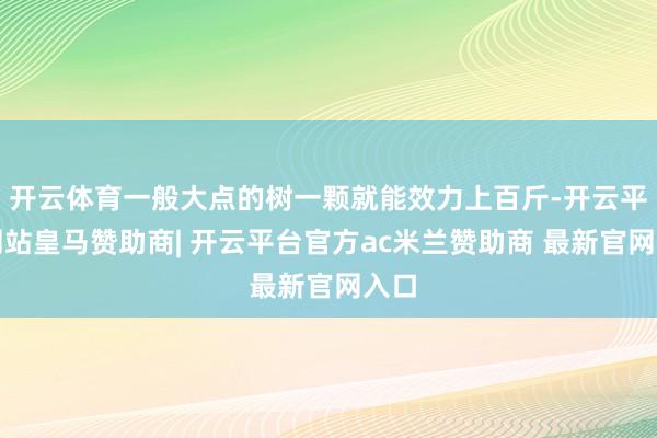 开云体育一般大点的树一颗就能效力上百斤-开云平台网站皇马赞助商| 开云平台官方ac米兰赞助商 最新官网入口