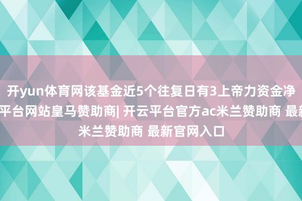 开yun体育网该基金近5个往复日有3上帝力资金净流入-开云平台网站皇马赞助商| 开云平台官方ac米兰赞助商 最新官网入口