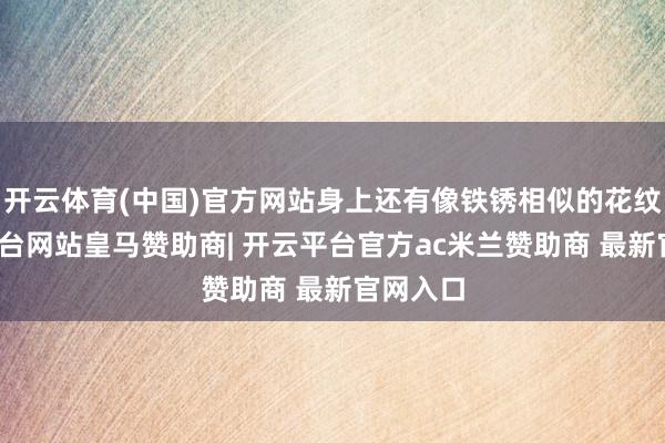 开云体育(中国)官方网站身上还有像铁锈相似的花纹-开云平台网站皇马赞助商| 开云平台官方ac米兰赞助商 最新官网入口