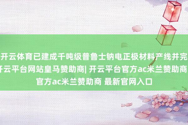 开云体育已建成千吨级普鲁士钠电正极材料产线并完竣批量出货-开云平台网站皇马赞助商| 开云平台官方ac米兰赞助商 最新官网入口