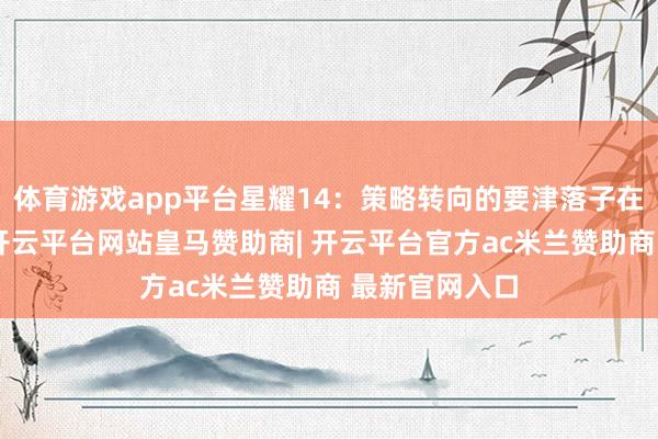 体育游戏app平台星耀14：策略转向的要津落子在潘春节看来-开云平台网站皇马赞助商| 开云平台官方ac米兰赞助商 最新官网入口