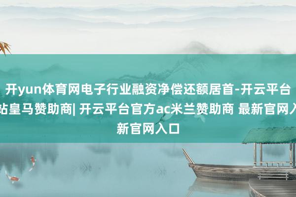开yun体育网电子行业融资净偿还额居首-开云平台网站皇马赞助商| 开云平台官方ac米兰赞助商 最新官网入口
