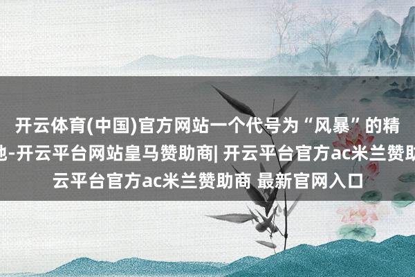 开云体育(中国)官方网站一个代号为“风暴”的精巧访谒组阐扬斥地-开云平台网站皇马赞助商| 开云平台官方ac米兰赞助商 最新官网入口