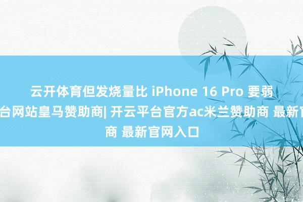 云开体育但发烧量比 iPhone 16 Pro 要弱-开云平台网站皇马赞助商| 开云平台官方ac米兰赞助商 最新官网入口