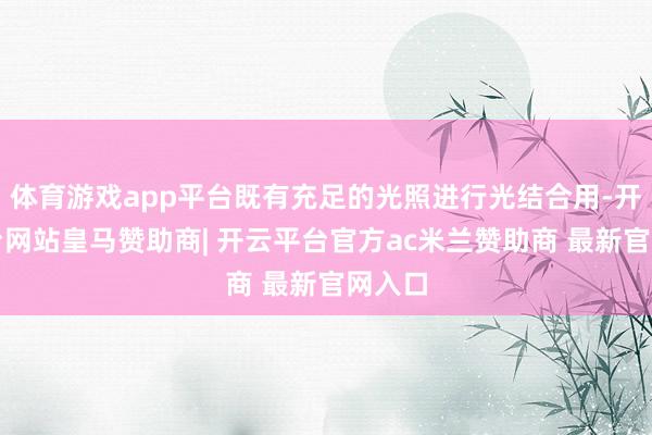 体育游戏app平台既有充足的光照进行光结合用-开云平台网站皇马赞助商| 开云平台官方ac米兰赞助商 最新官网入口