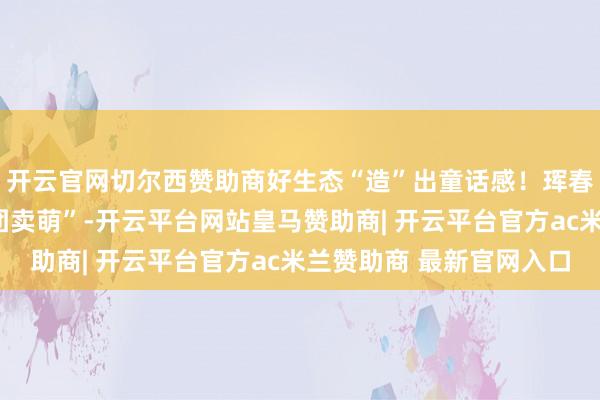 开云官网切尔西赞助商好生态“造”出童话感!珲春参地野生梅花鹿“组团卖萌”-开云平台网站皇马赞助商| 开云平台官方ac米兰赞助商 最新官网入口